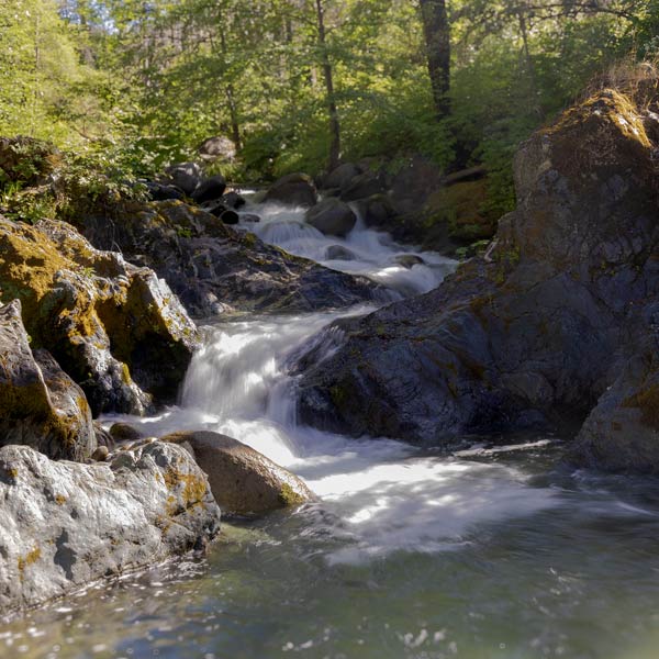 Brandy Creek hike in Redding California