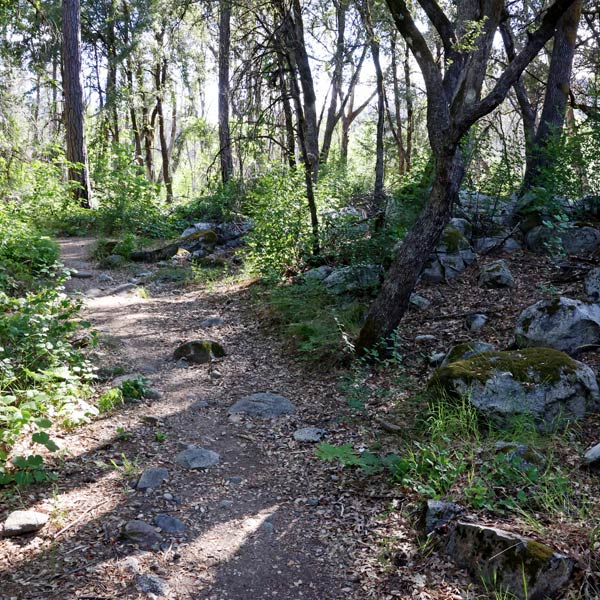 Waterfall hike in Northern California