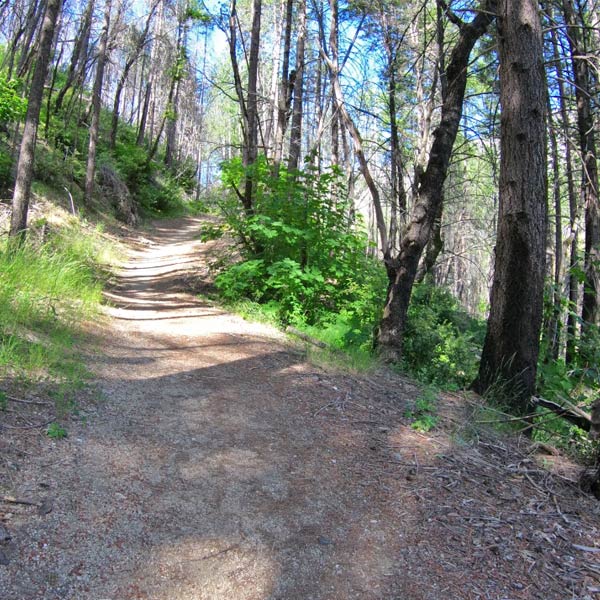 Waterfall hikes at Whiskytown Lake