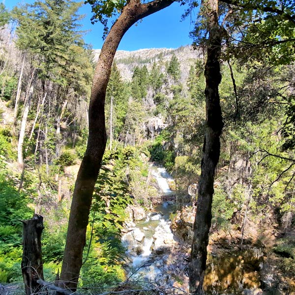  Whiskytown Lake hike in Redding California